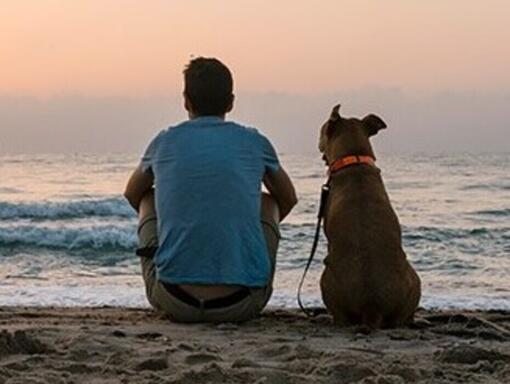 Un uomo e il suo cane seduti su una spiaggia