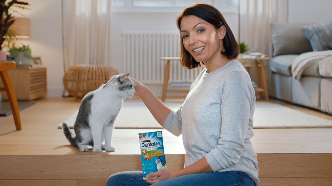 Pagina di elenco del cibo per gatti Dentalife