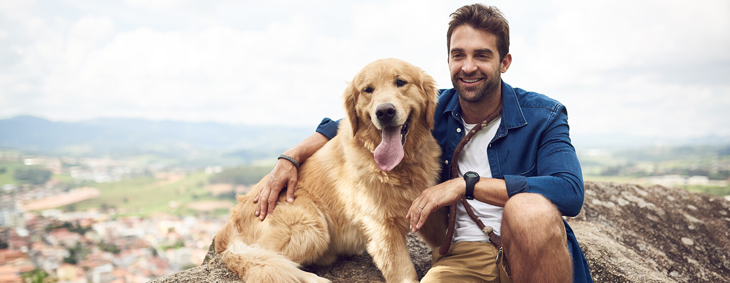 Cane seduto sulla montagna con l'uomo