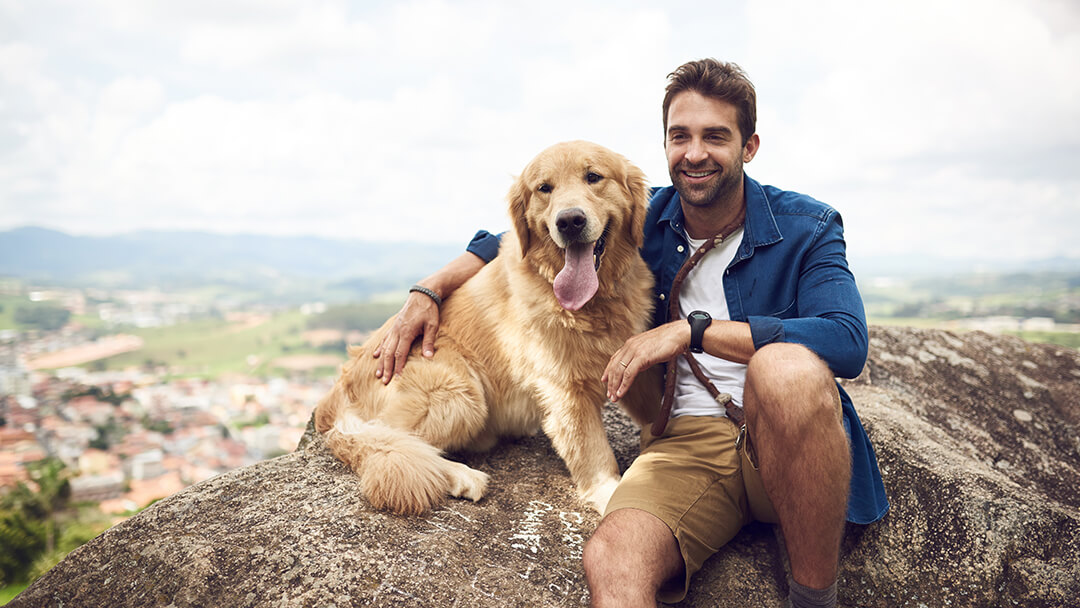 Cane seduto sulla montagna con l'uomo