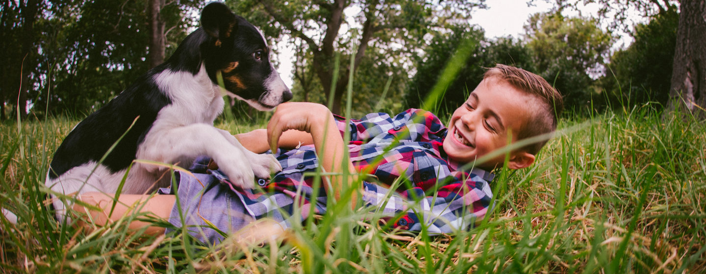 come giocare con cane