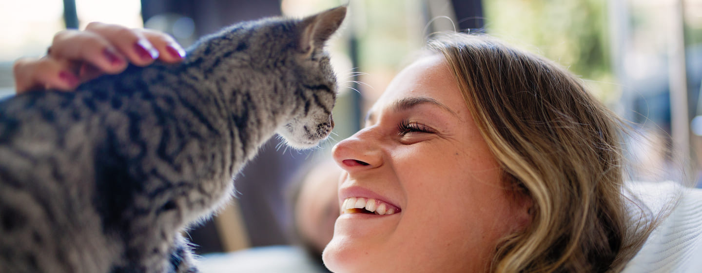 Consigli sulla salute del gatto