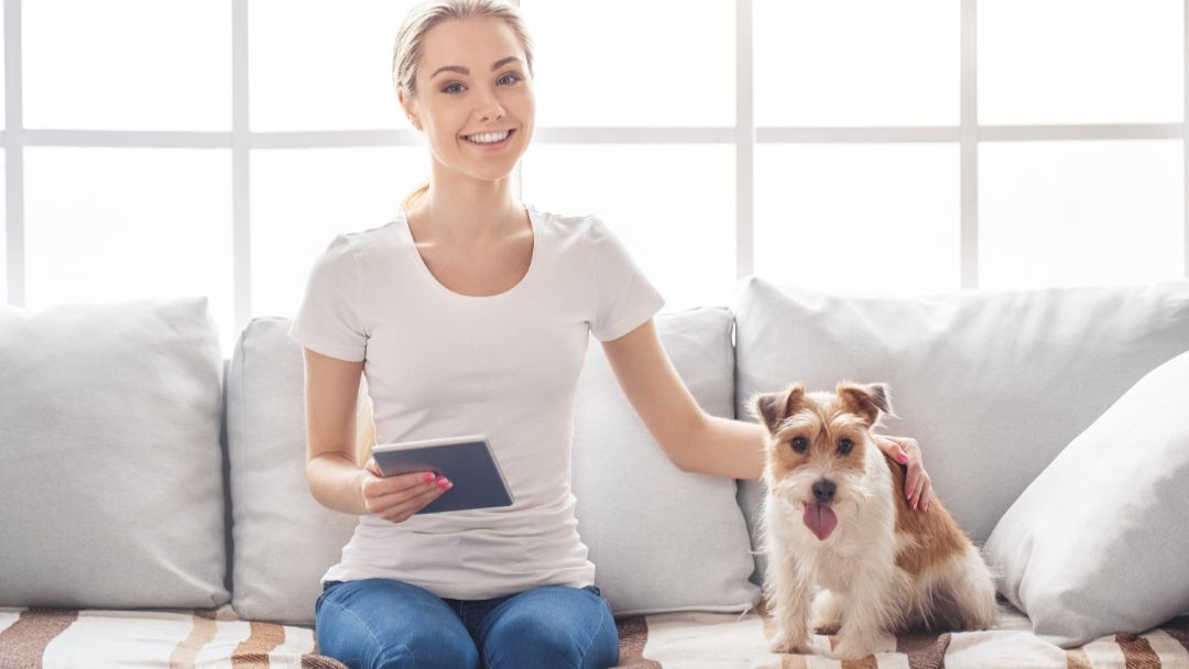 curioso sano e coccolato e il tuo cane e felice