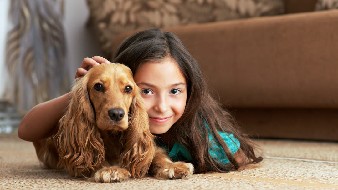 Il cane animale da compagnia sempre piu utile alluomo