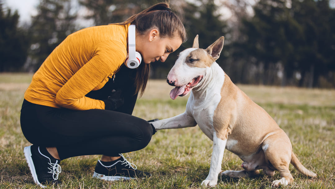 Imparare il rispetto il cane e il senso di responsabilita