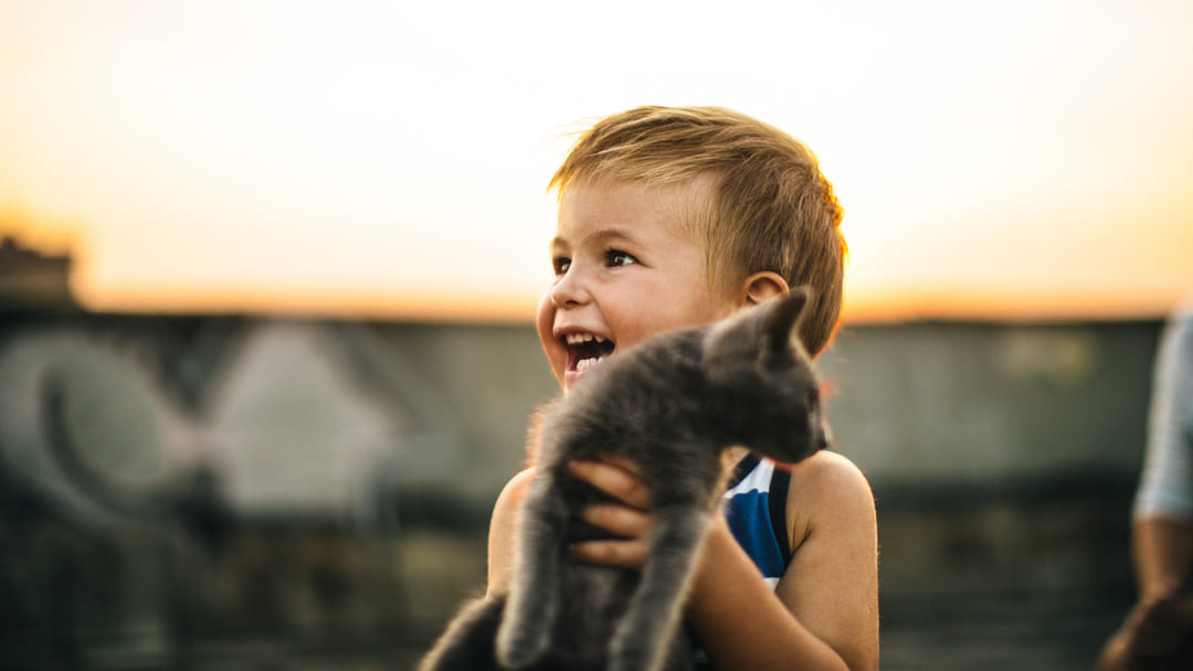 Le malattie dei gatti sono un pericolo i bambini