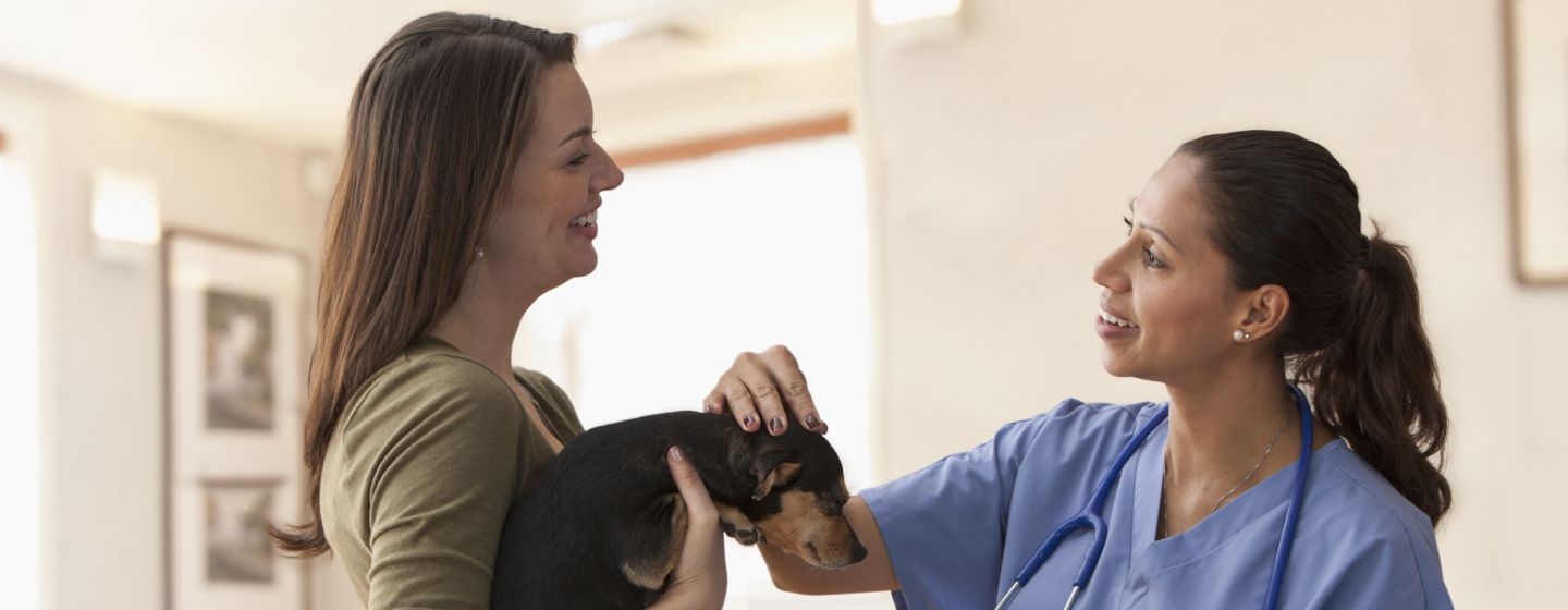 prima visita veterinario vaccinazioni