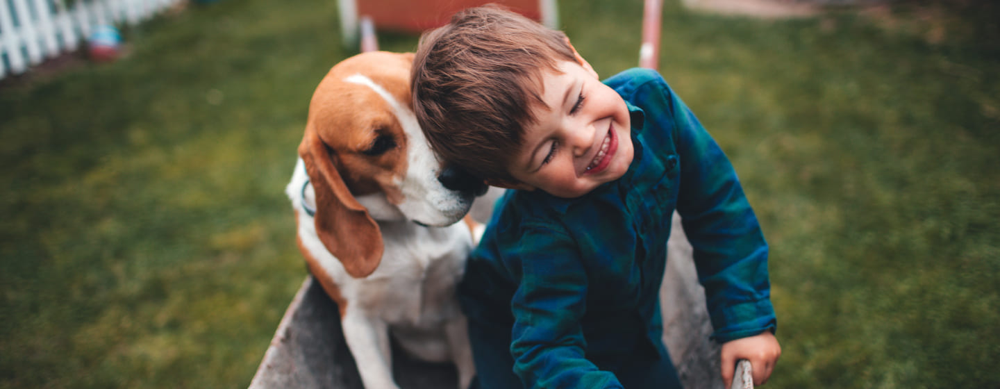 Primavera come proteggere i bambini da pulci e zecche di cani e gatti