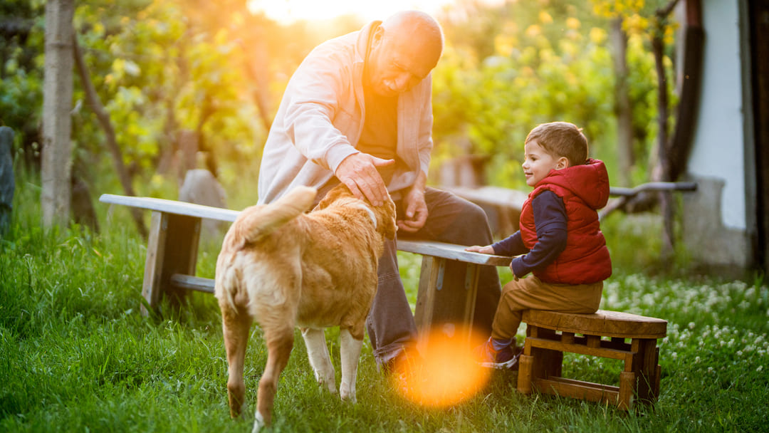 5 motivi per cui cane migliore amico uomo