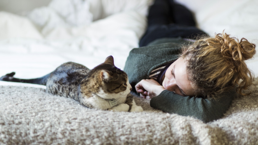 capire quando il gatto sta male