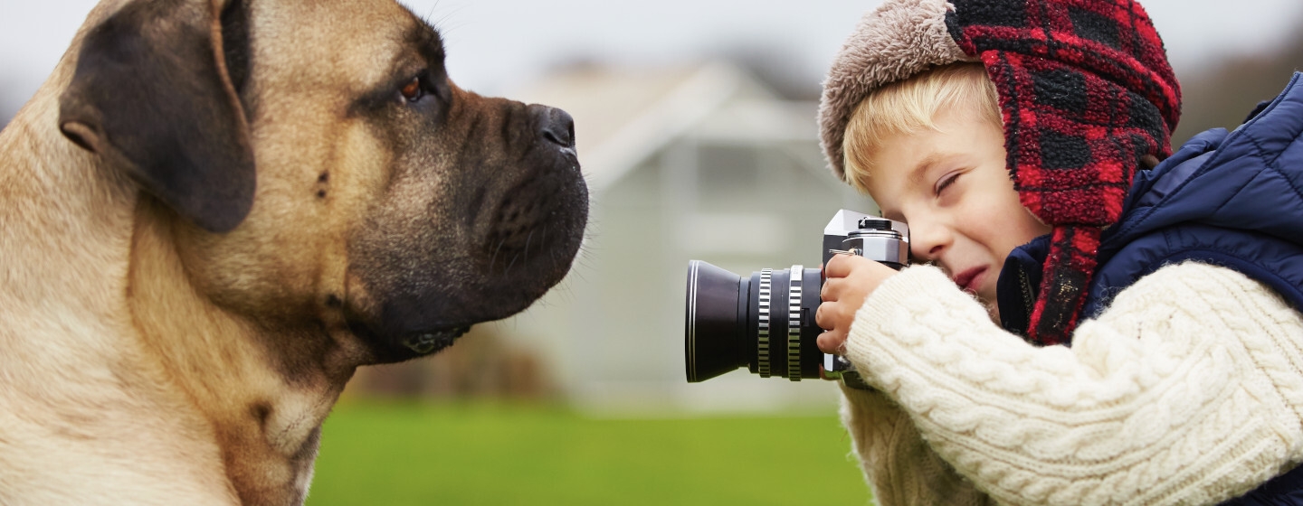 come organizzare spazi casa cani bambini