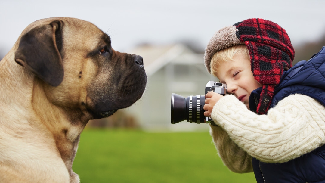 come organizzare spazi casa cani bambini