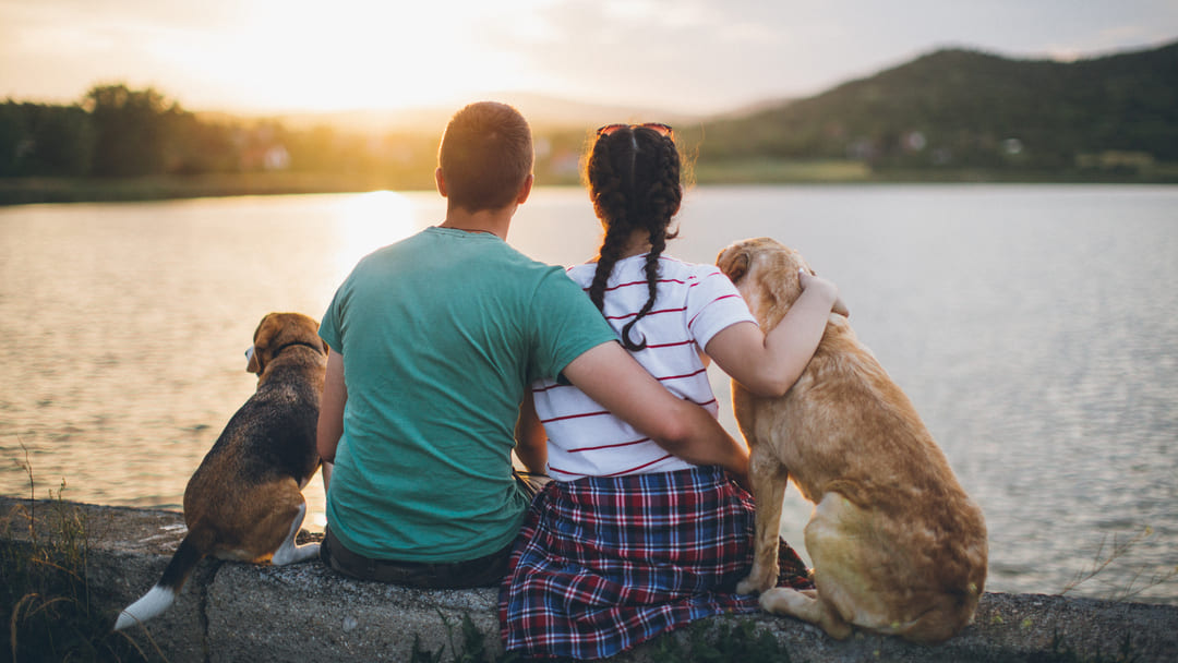 Perche cani leccano padroni