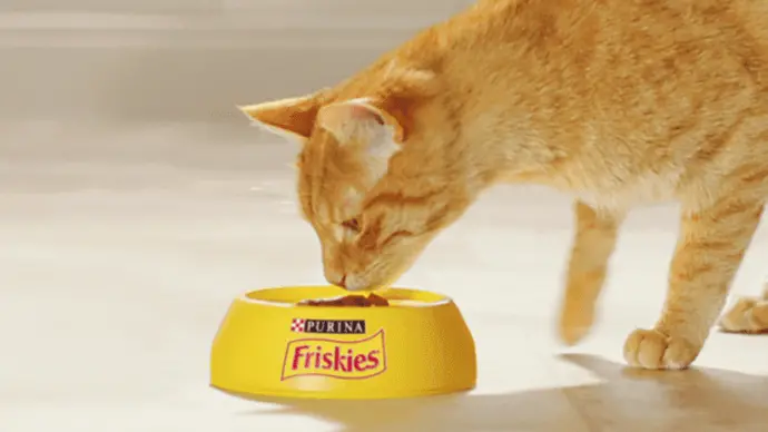 Friskies Gatto - Alimenti secchi