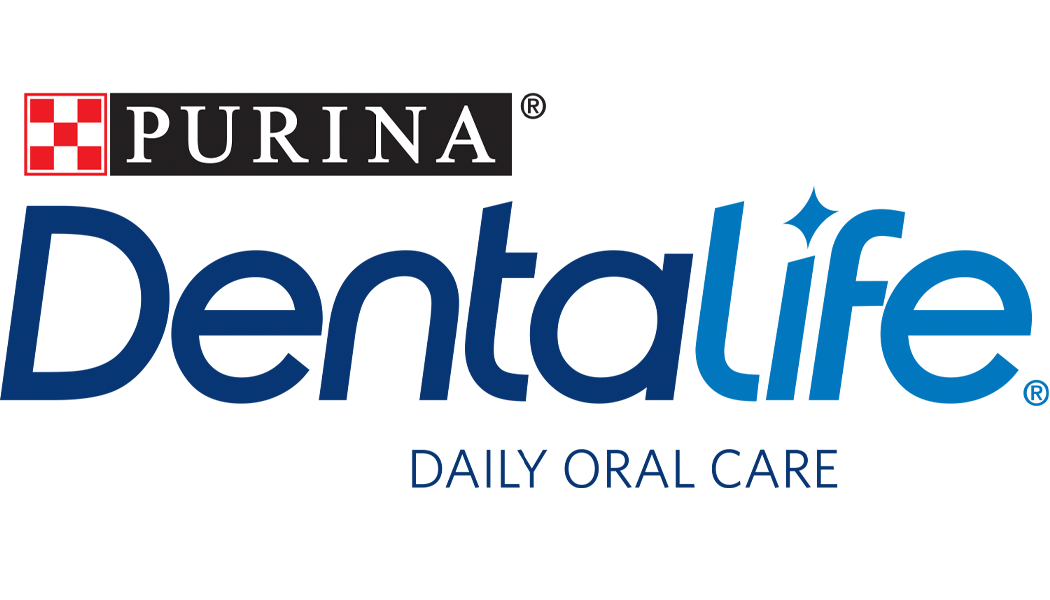 Dentalife logo