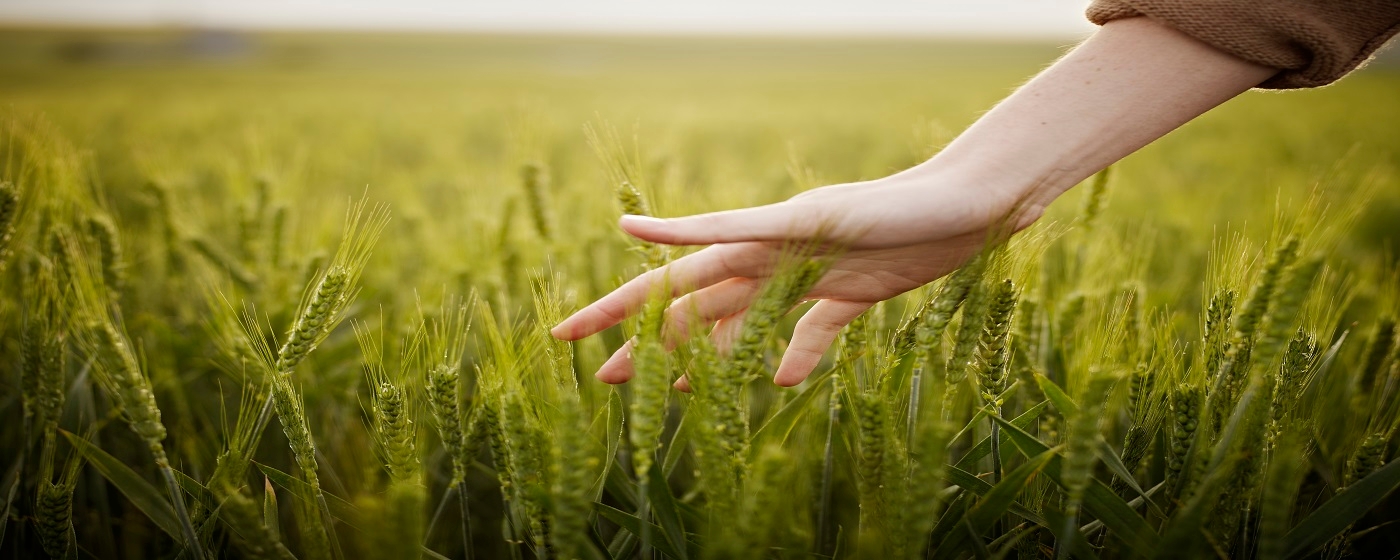 L’IMPEGNO DI PURINA PER L’AMBIENTE IN NUOVO PROGETTO DI AGRICOLTURA RIGENERATIVA