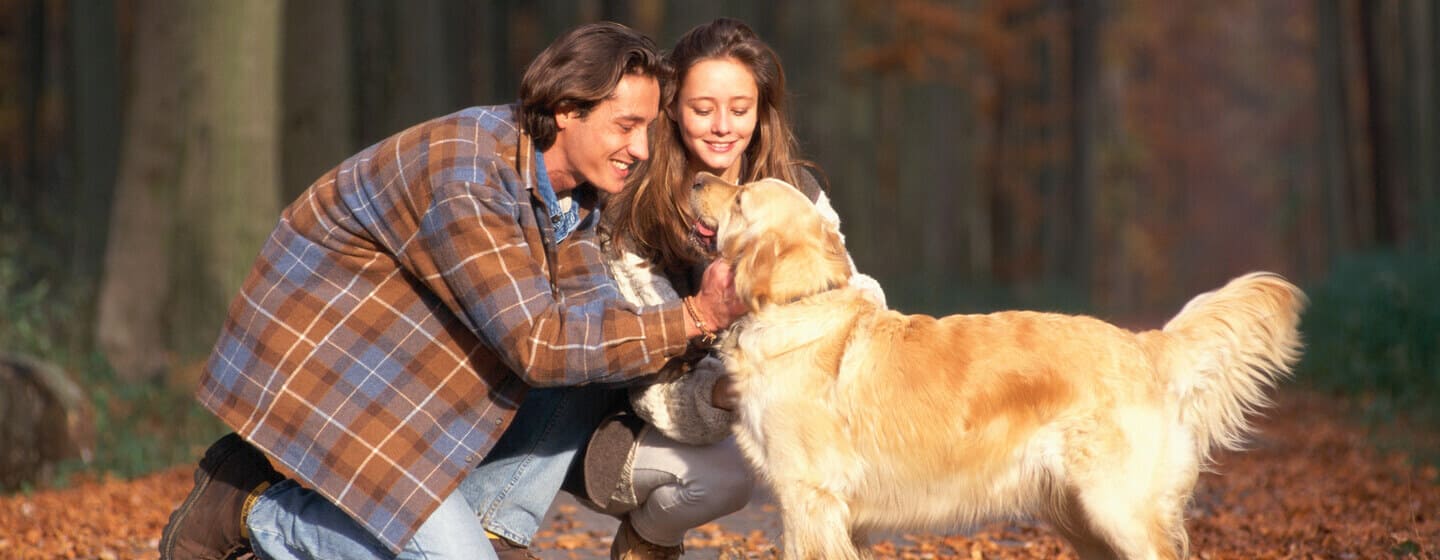 Perché i cani sono così fedeli?