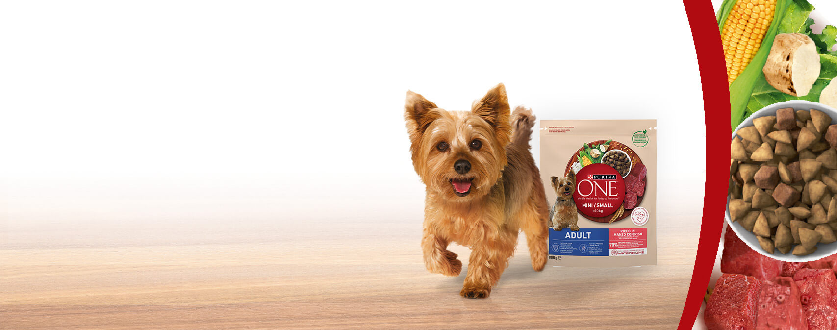 Vendita CIBO CANI POLLO CAROTE FAGIOLINI ONE DOG ADULT All'ingrosso. Cibi Per Cani/gatti All