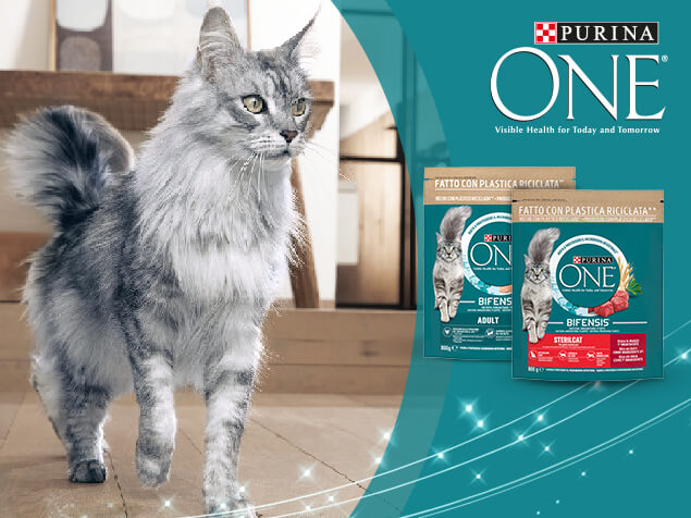 Purina one