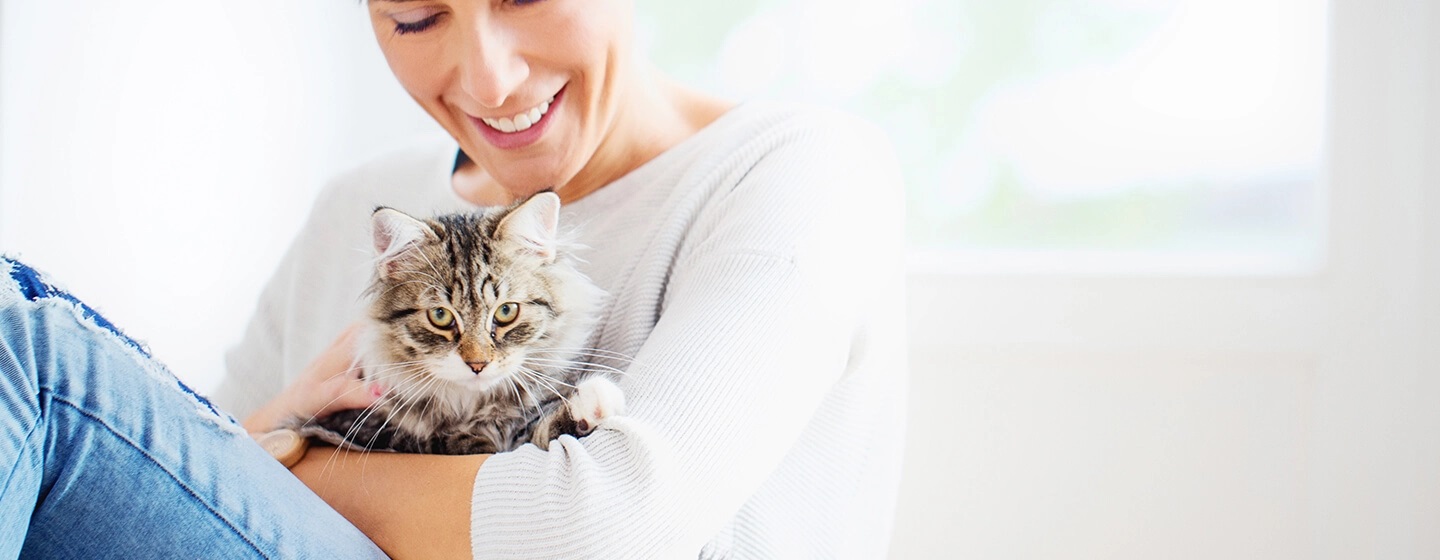 Servizi di pensione per gatti e cat sitting ecco cosa sapere | Purina