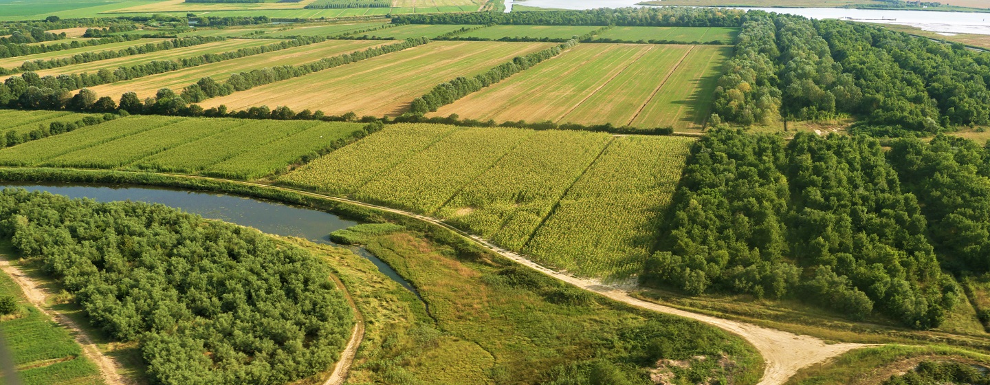 Purina e Consorzio DOC Prosecco insieme per promuovere l’agricoltura rigenerativa