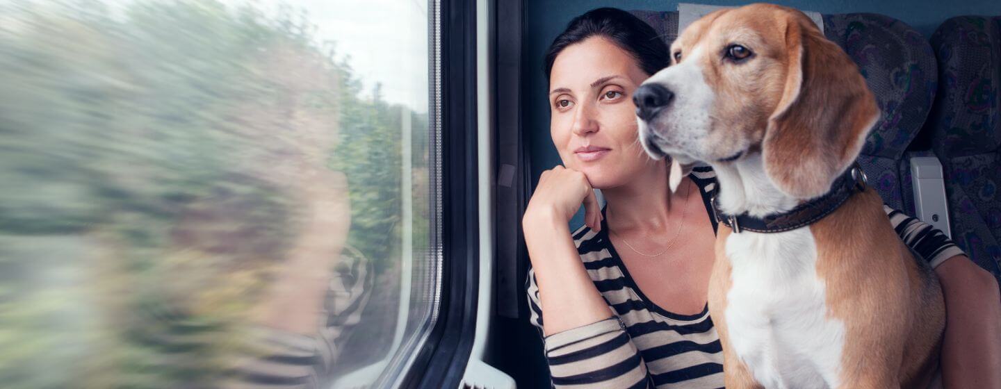 Consigli per portare il cane in treno