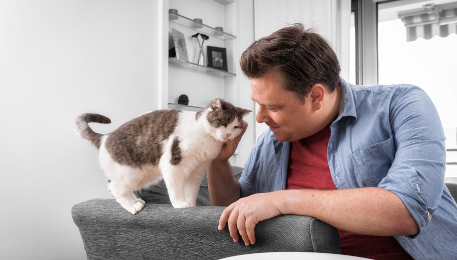 Un uomo che accarezza il muso del suo gatto mentre questo è in piedi sul bracciolo del divano