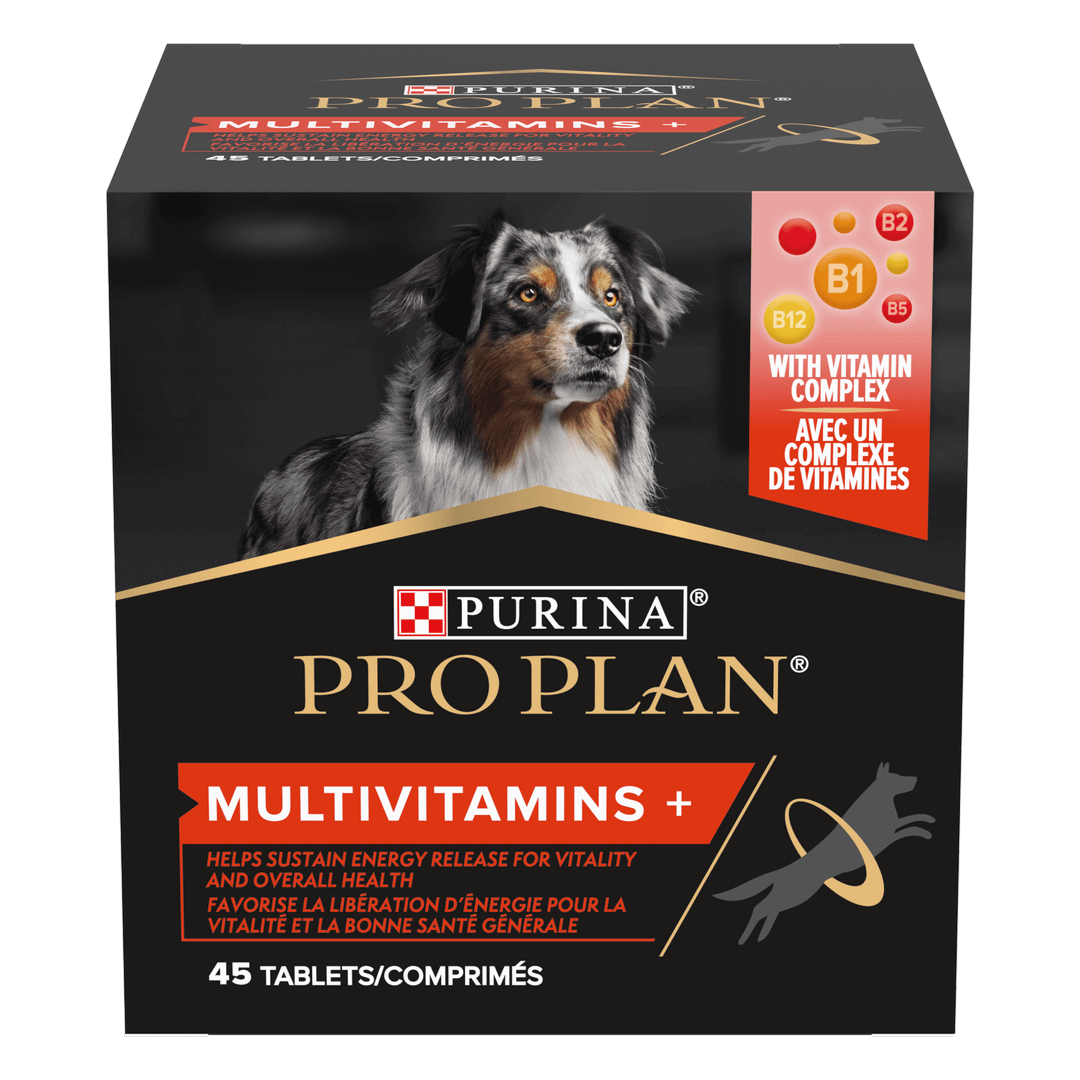 PRO PLAN Supplements Multivitamin +