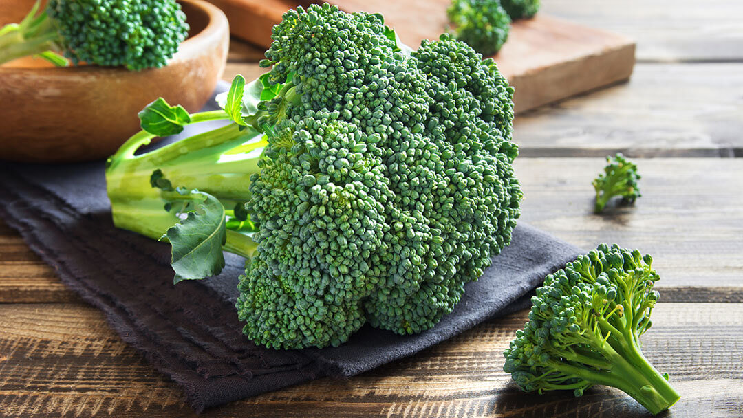 I cani possono mangiare i broccoli?