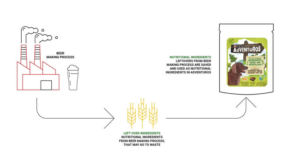 infografica