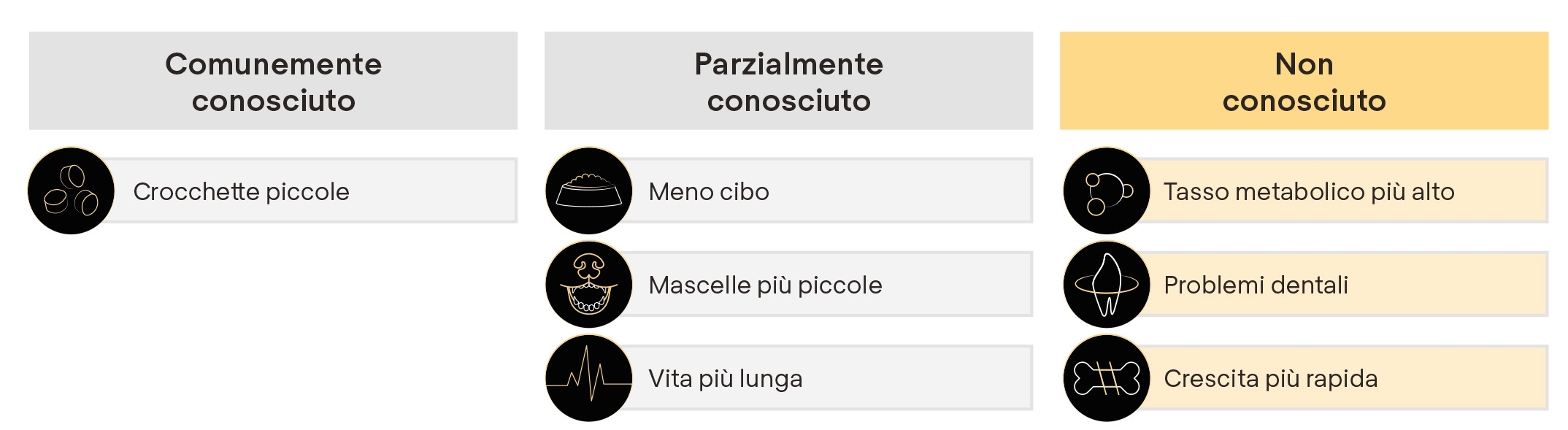 GRANDE NOVITA' PER CANI DI PICCOLA TAGLIA