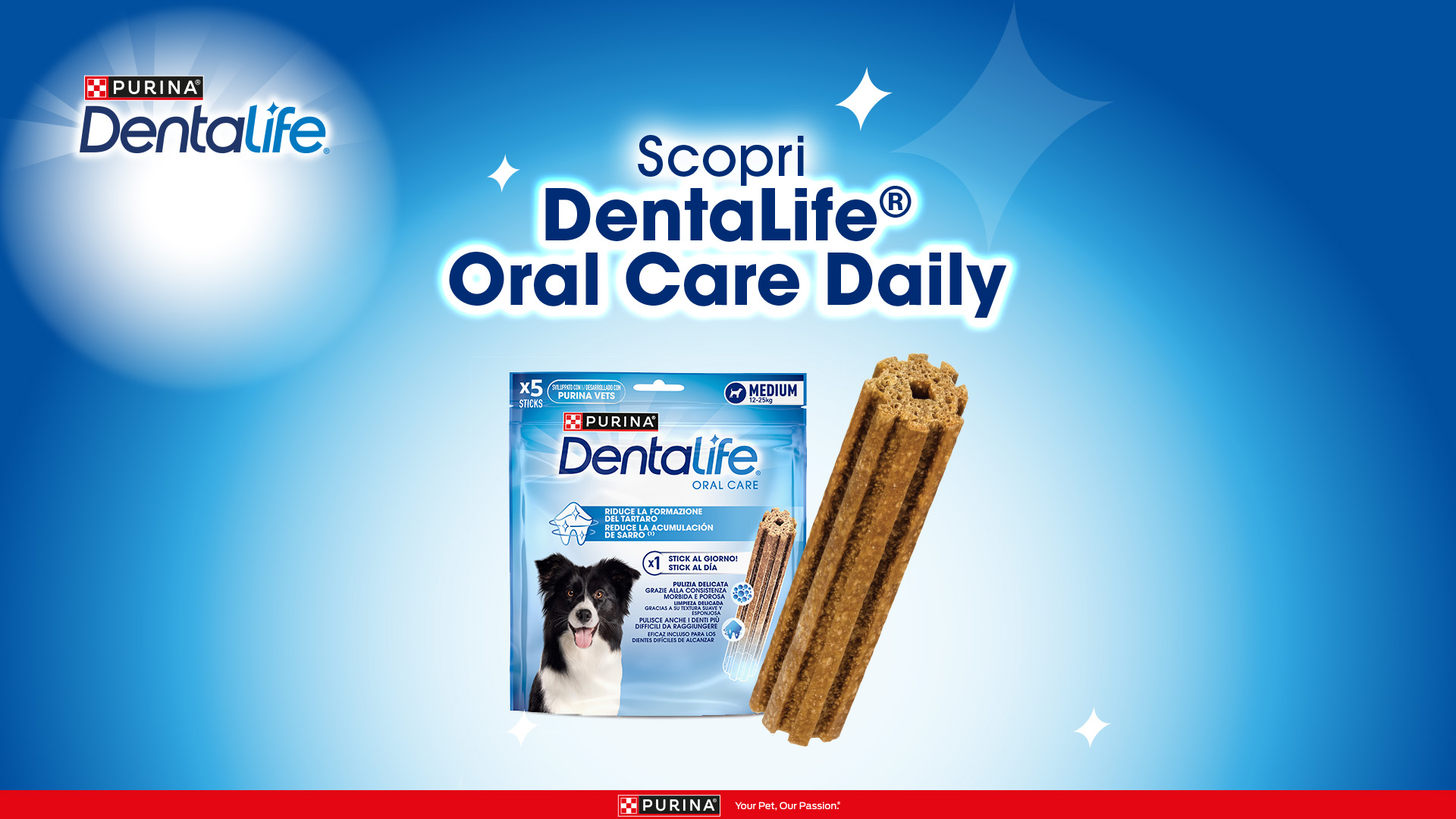 Prova la gamma Dentalife® Cane