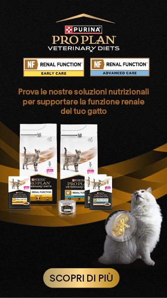 Pro Plan Renal Function gatto
