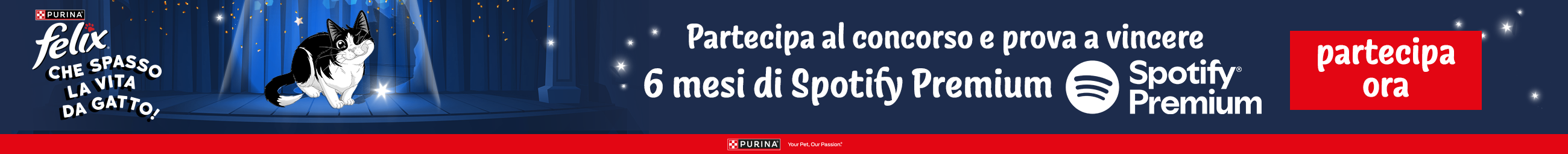 FELIX 2025 'CHE SPASSO LA VITA DA GATTO