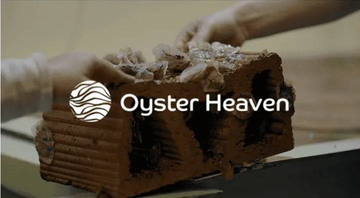 Oyster Heaven