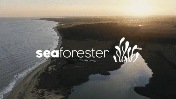 SeaForester