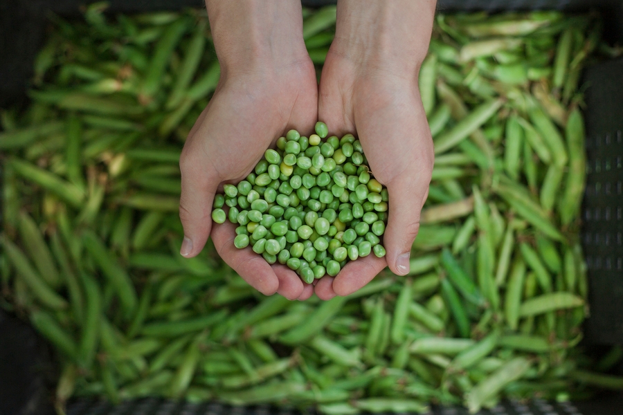 Impegnarsi a selezionare com cura gli ingredienti