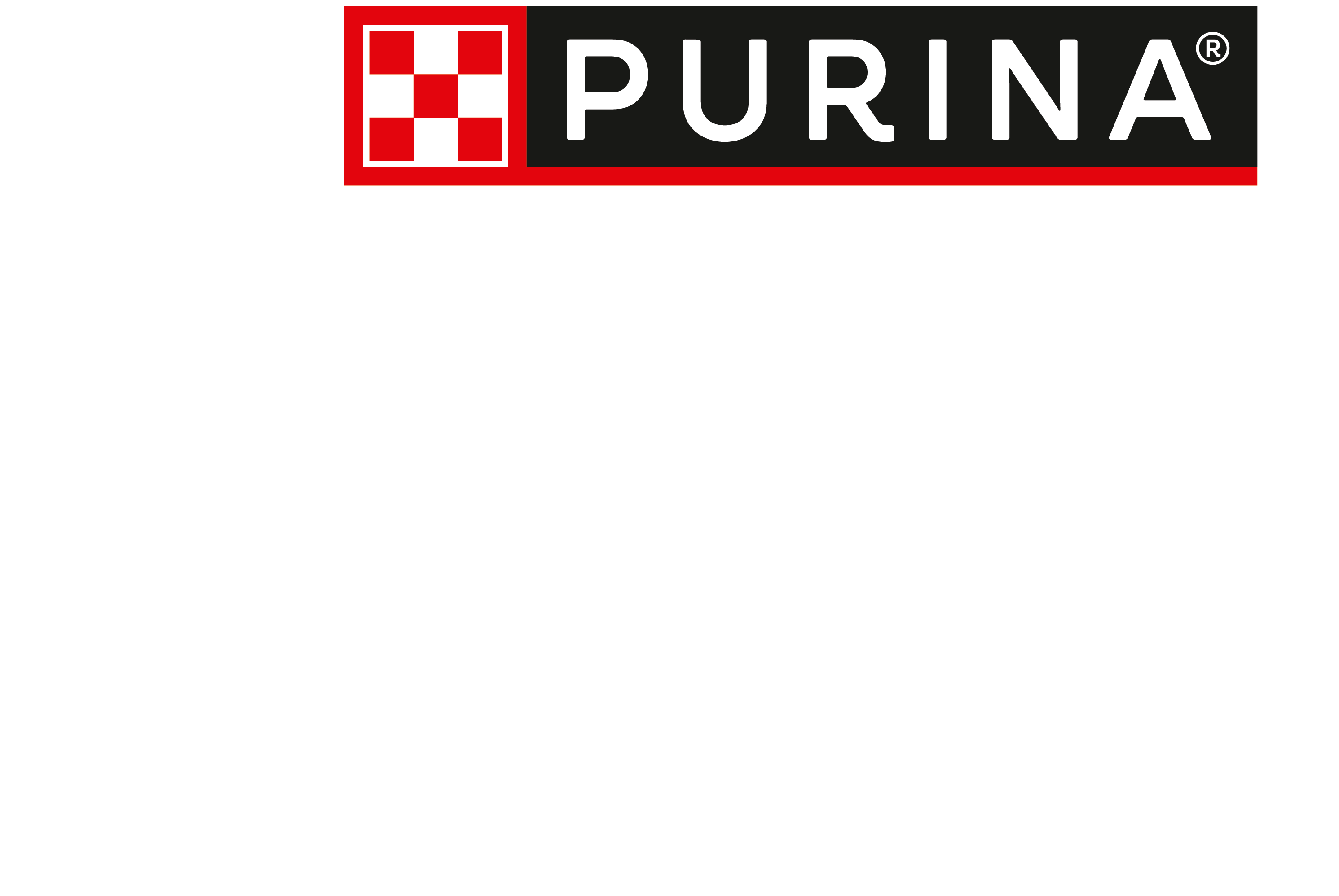 Purina One