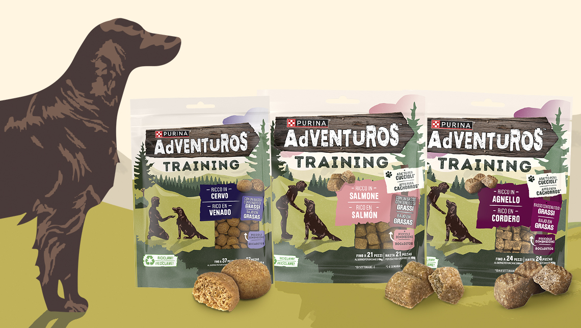 AdVENTuROUS Training