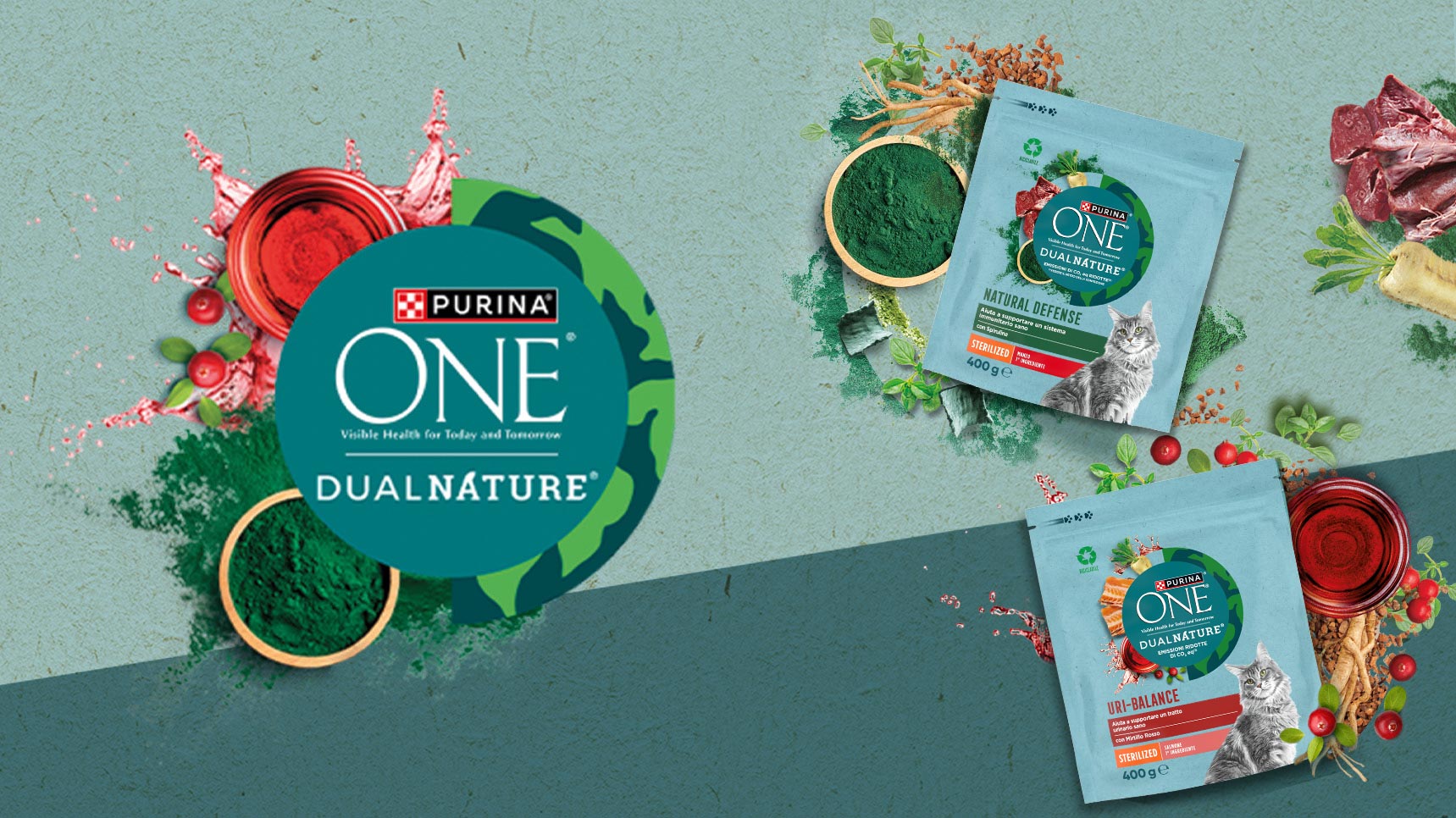 Purina One DualNature
