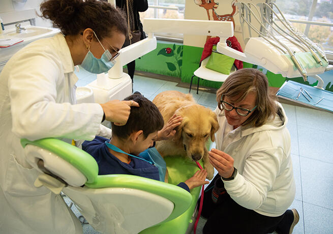 Dental School di Torino