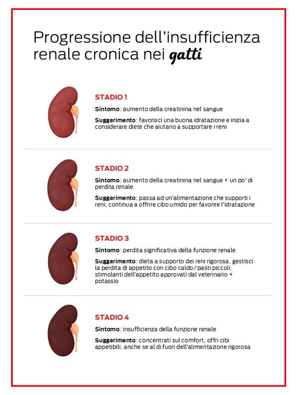 Stadi insufficienza renale