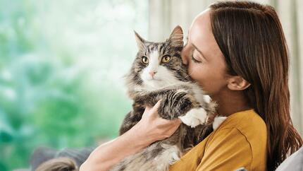 gatto vuole coccole