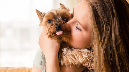 ragazza che coccola il suo cucciolo di yorkie