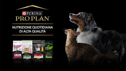 Purina torna in tv con la linea Pro Plan® dedicata alla nutrizione quotidianadi alta qualità per cani e gatti