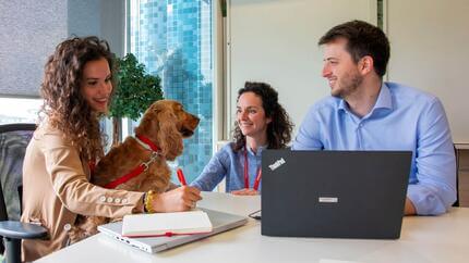 Pets At Work