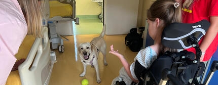 purina pet therapy