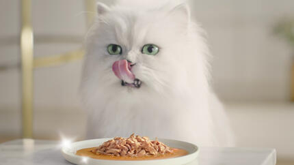 Purina rilancia Gourmet™ Perle: ricette curate nei minimi dettagli per i gatti dal palato raffinato