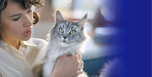 Purina One