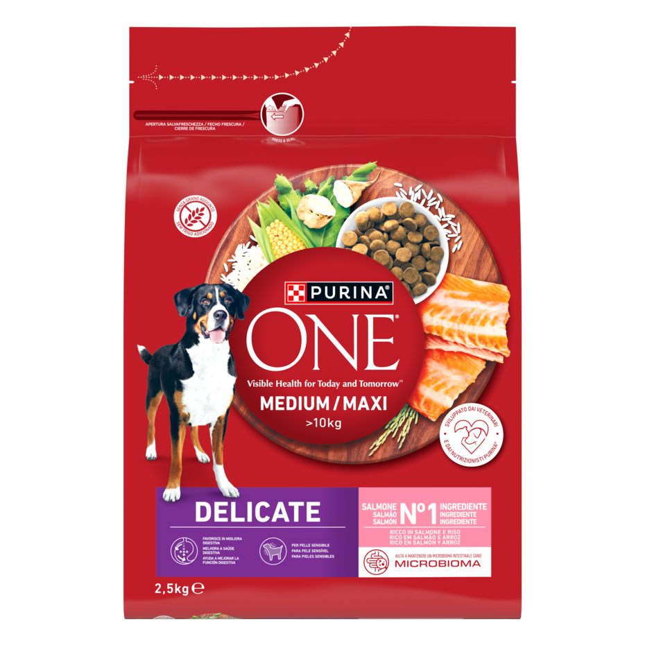 Purina ONE MEDIUM/MAXI Delicate 2,5kg Salmone